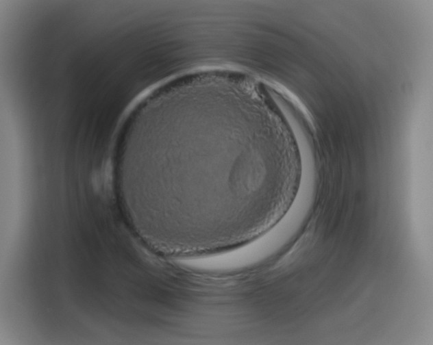 X0000114440975200910161352