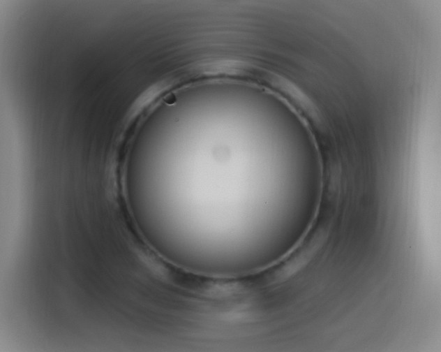 X0000114440978200910161352
