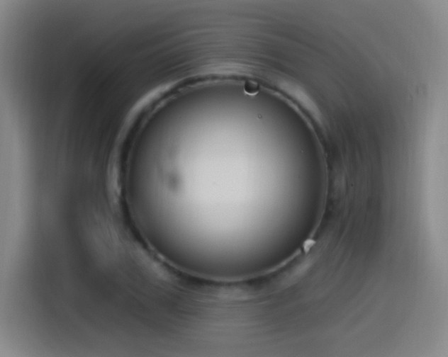 X0000114440979200910161352