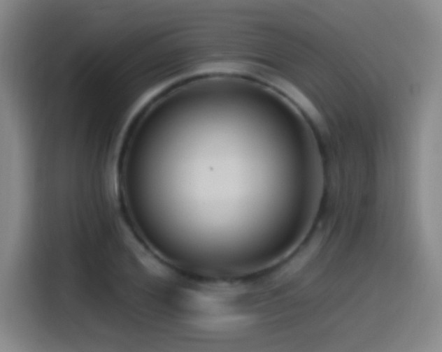 X0000114440980200910161352