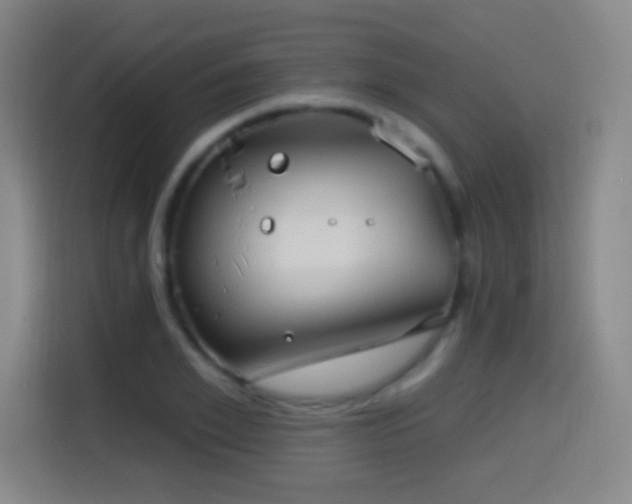 X0000114440981200910161352
