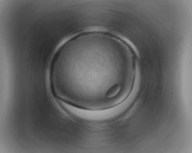 X0000114440983200910161352