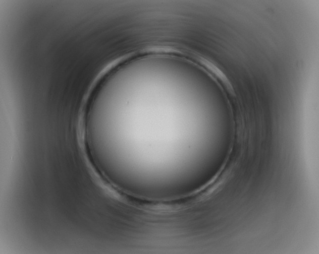 X0000114440984200910161352