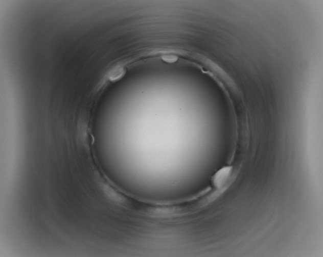 X0000114440985200910161352