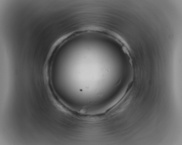 X0000114440987200910161352