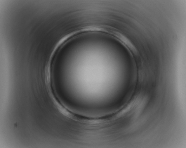 X0000114440988200910161351
