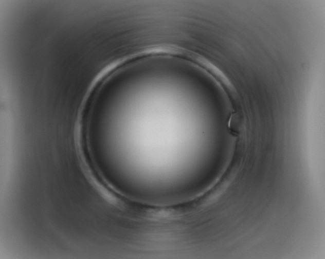 X0000114440991200910161351
