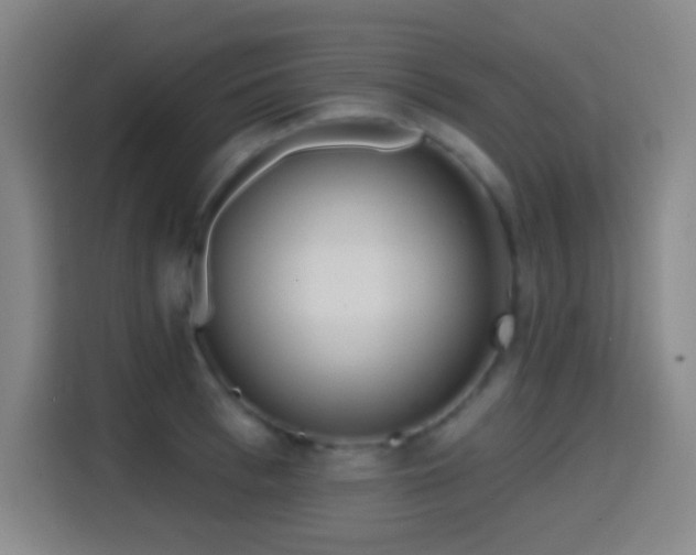 X0000114440993200910161351