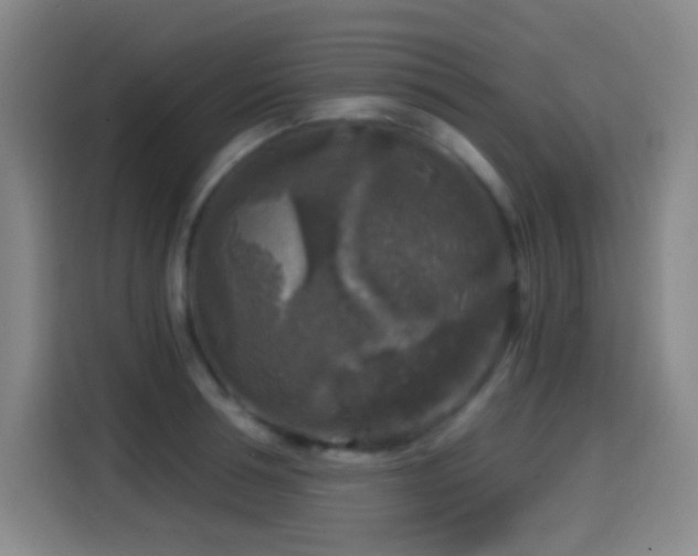 X0000114440994200910161351