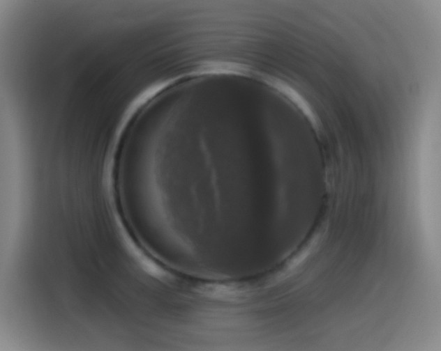 X0000114440995200910161351