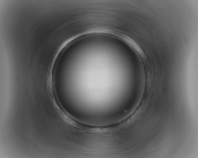X0000114440996200910161351