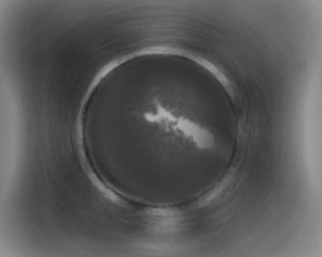 X0000114440998200910161351