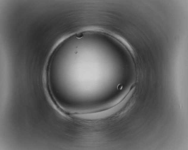 X0000114440999200910161351