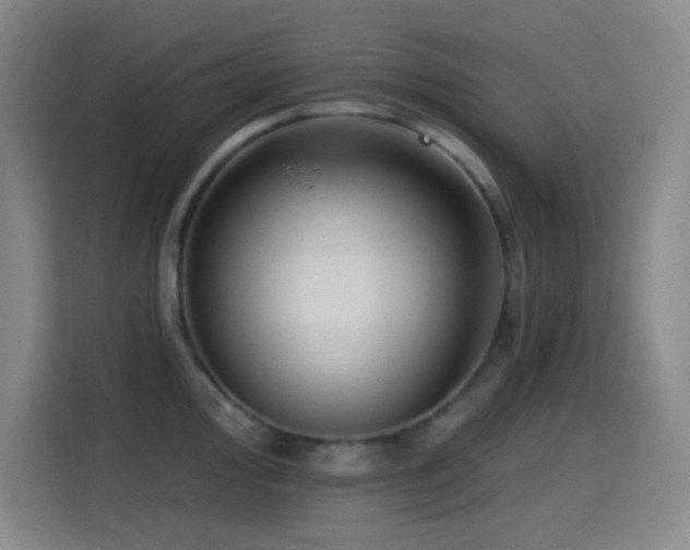 X0000114441000200910161351