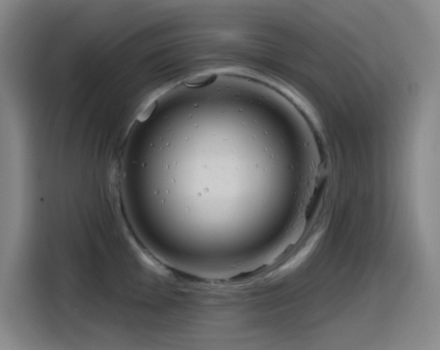 X0000114441001200910161351