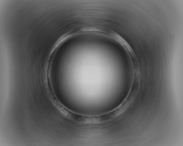 X0000114441002200910161351