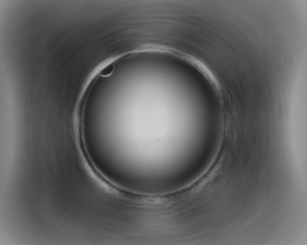 X0000114441003200910161351
