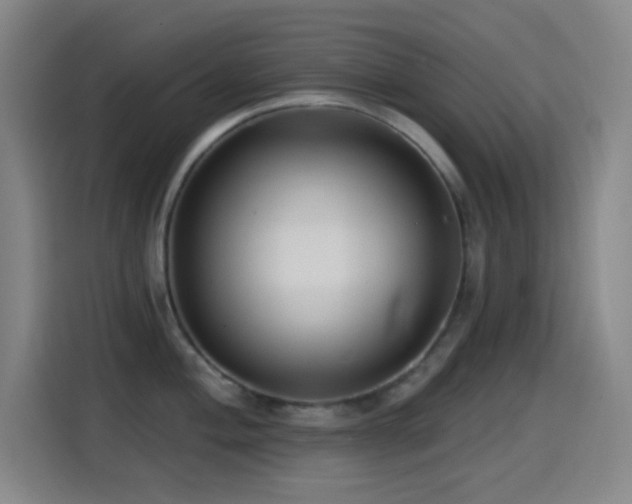 X0000114441004200910161351