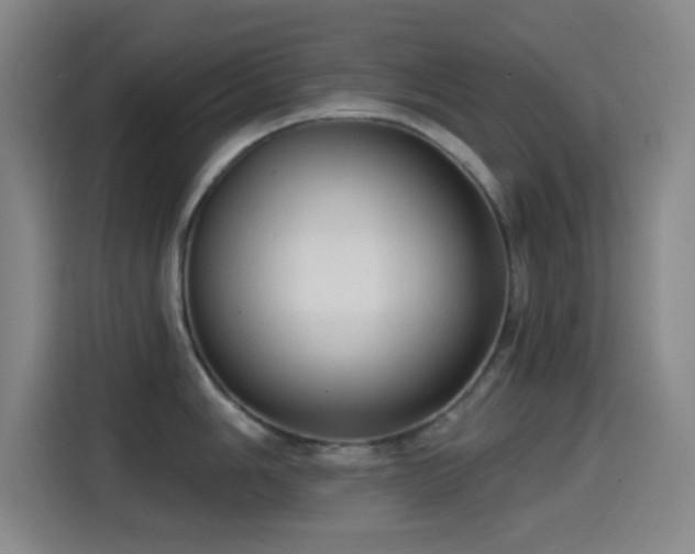 X0000114441006200910161351