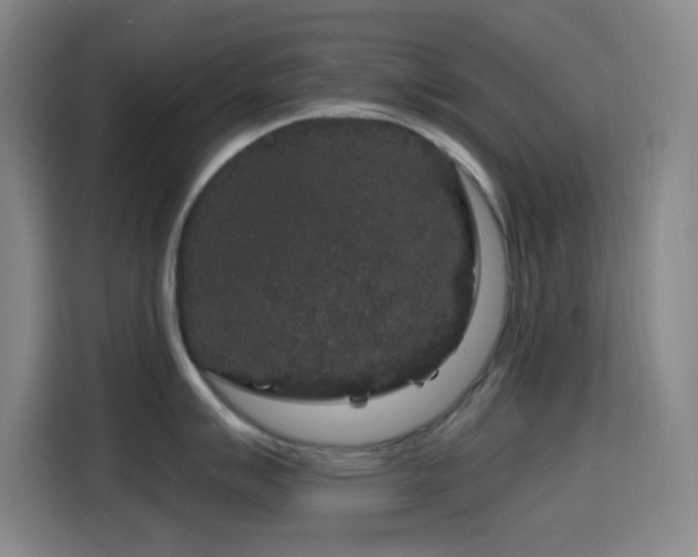 X0000114441007200910161351