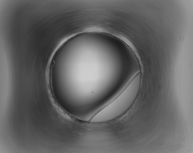 X0000114441008200910161351