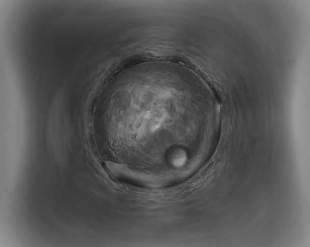 X0000114441009200910161351