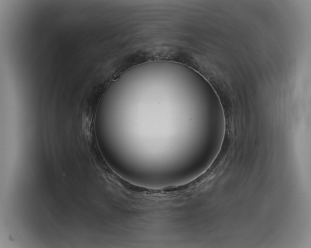X0000114441010200910161351