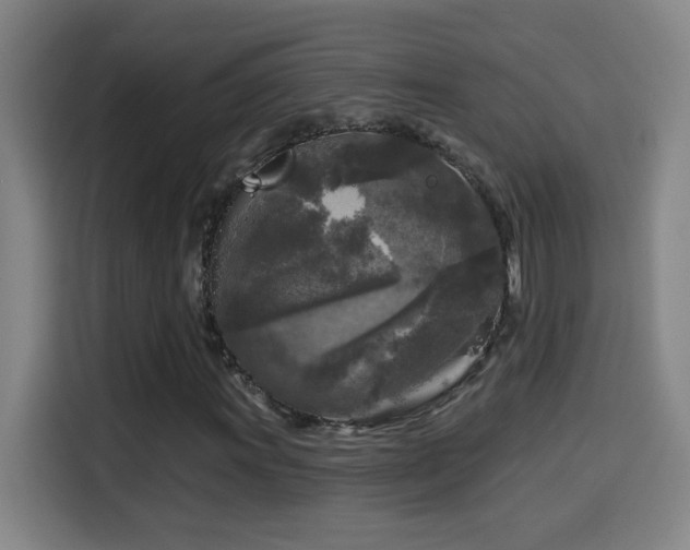 X0000114441011200910161351