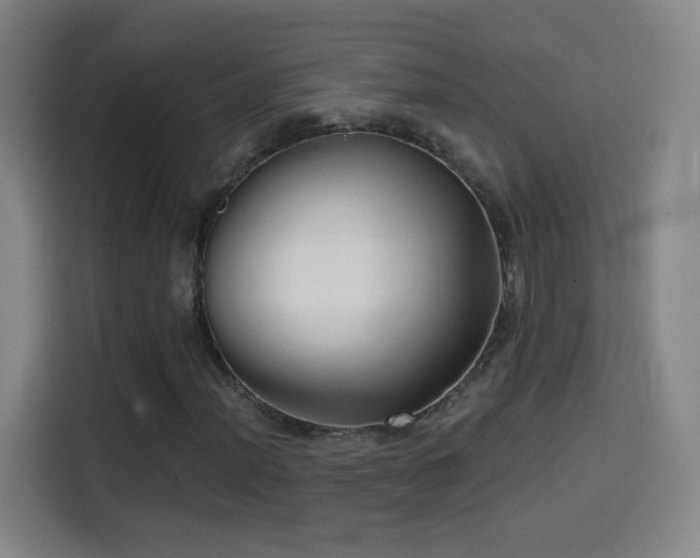 X0000114441012200910161351