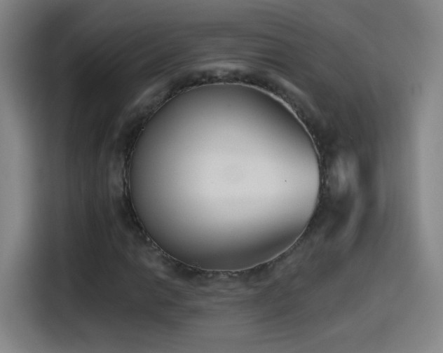 X0000114441014200910161351