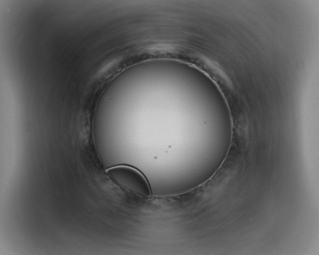 X0000114441015200910161351