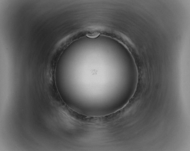 X0000114441016200910161351