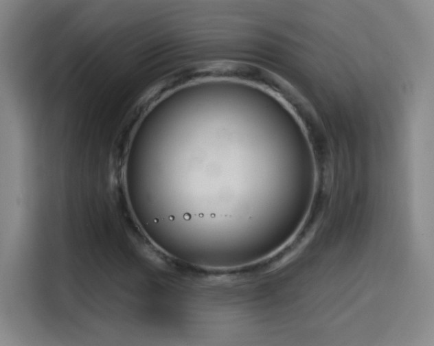 X0000114441017200910161351