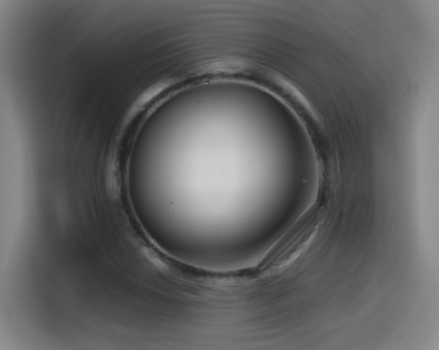 X0000114441018200910161351
