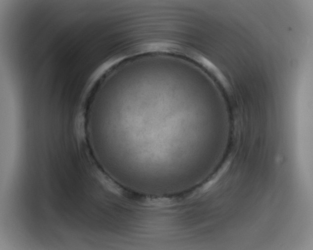 X0000114441019200910161351