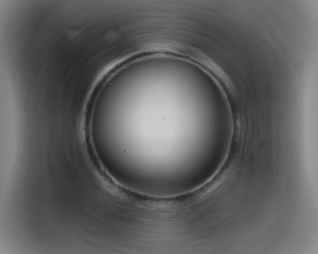 X0000114441020200910161351