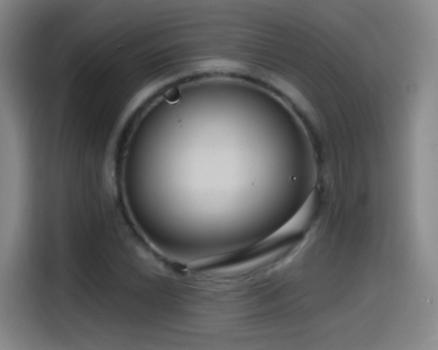 X0000114441022200910161351