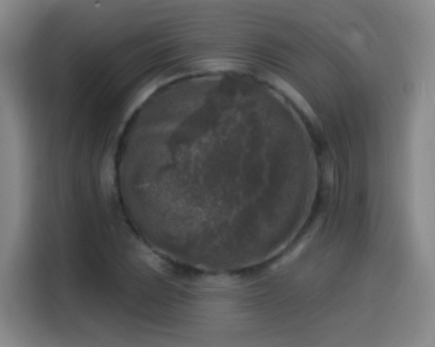 X0000114441023200910161351