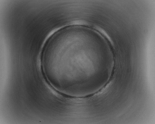 X0000114441024200910161351