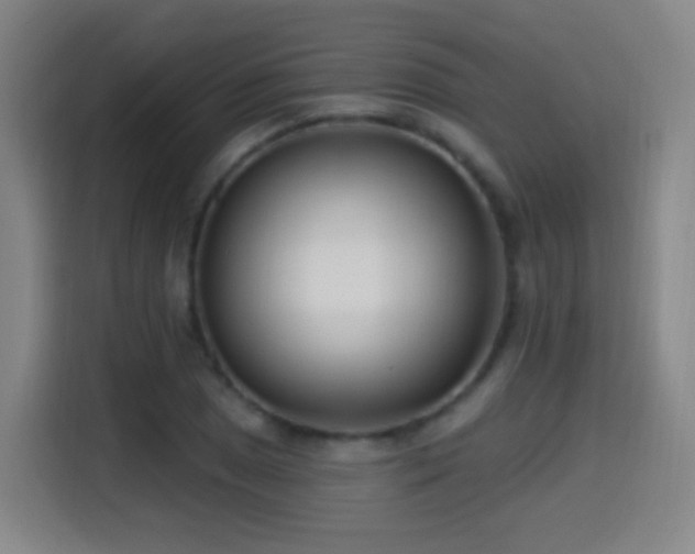 X0000114441025200910161351