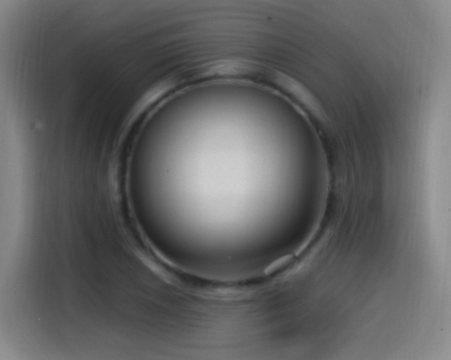 X0000114441026200910161351