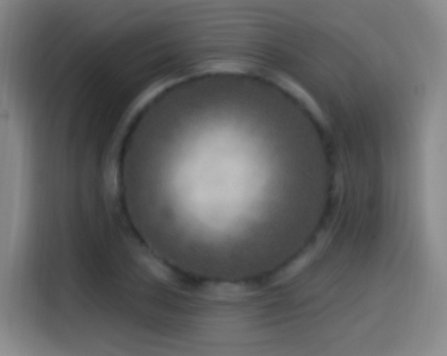 X0000114441027200910161351