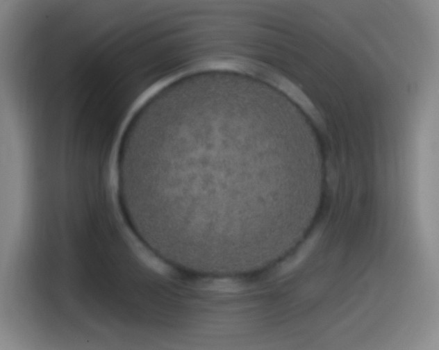 X0000114441028200910161351
