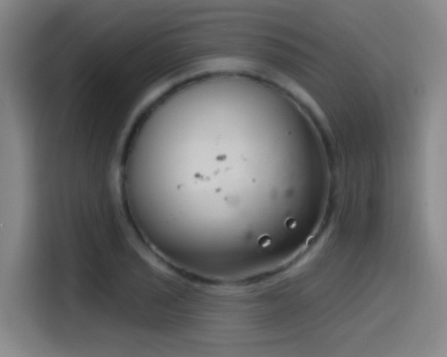 X0000114441029200910161351