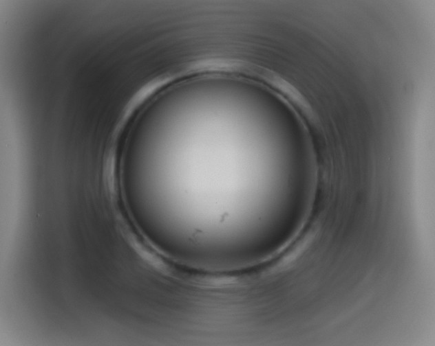X0000114441030200910161351