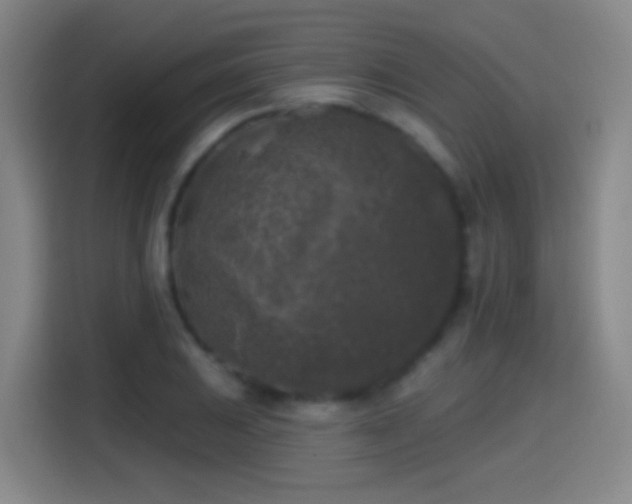 X0000114441031200910161351