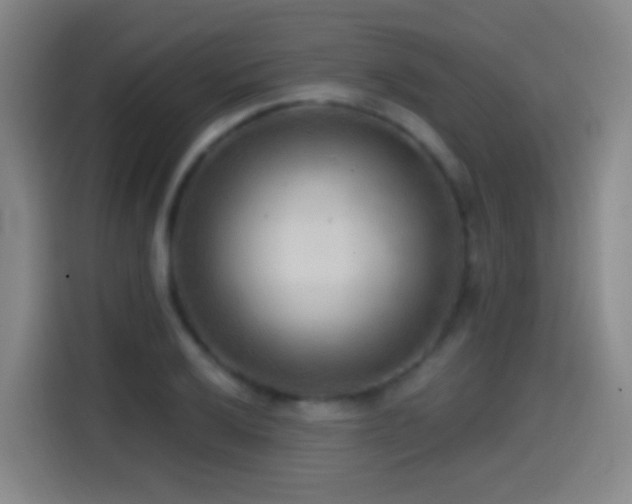 X0000114441032200910161351