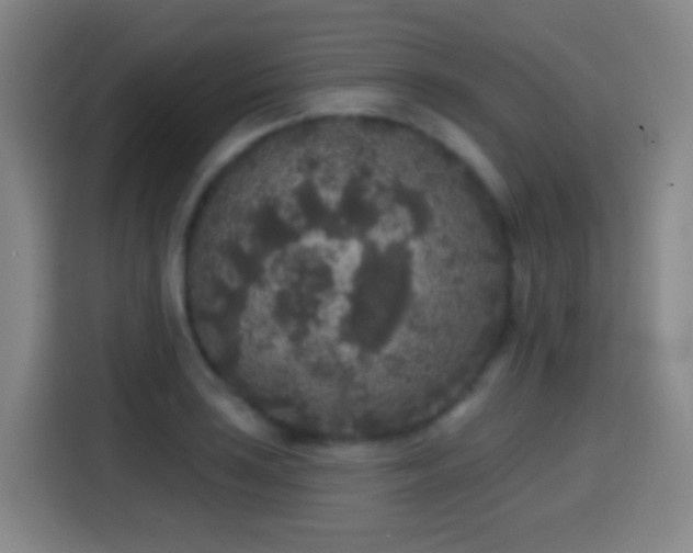 X0000114441035200910161351