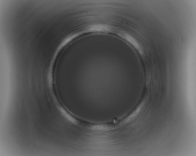X0000114441037200910161351