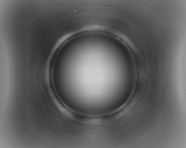 X0000114441038200910161351